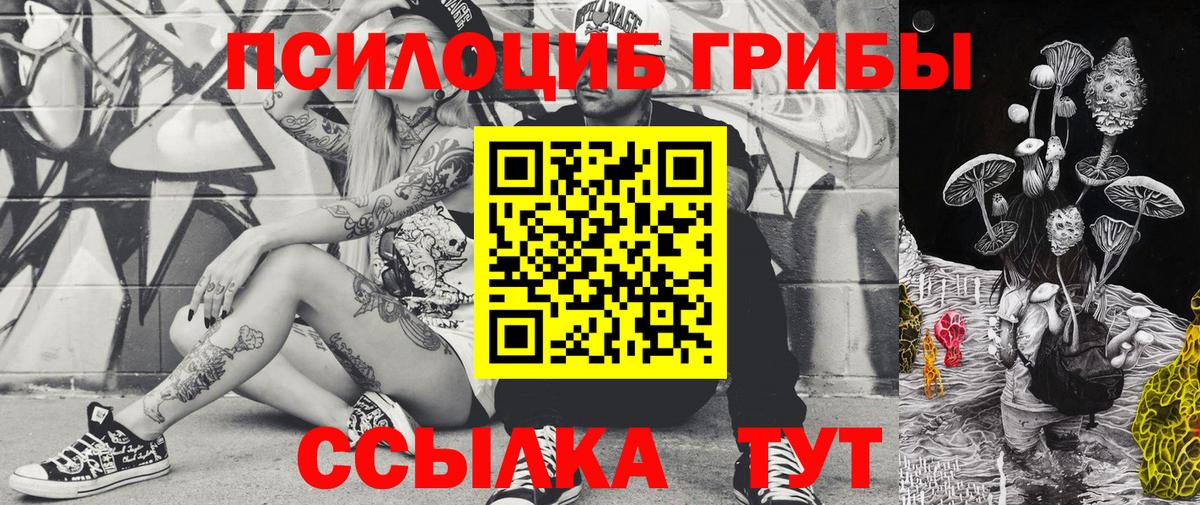 Галлюциногенные грибы GOLDEN TEACHER  Вход с VPN  Владикавказ 