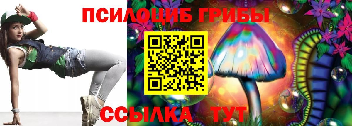 Псилоцибиновые грибы мицелий Владикавказ